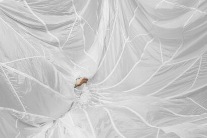 shape of things 067 - a Photographic Art Artowrk by LYNNE ROBERTS-GOODWIN